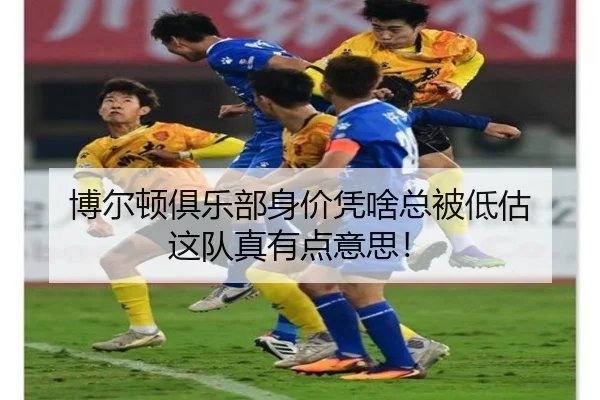 bo-er-dun-ju-le-bu-shen-jia-ping-sha-zong-bei-di-gu-zhe-dui-zhen-you-dian-yi-si-2-952.jpg