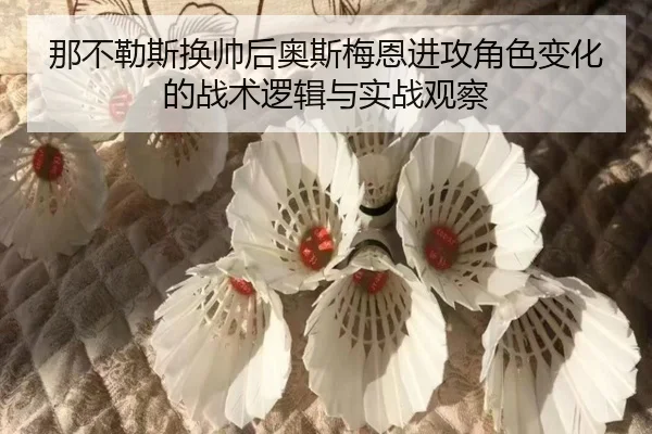 那不勒斯换帅后奥斯梅恩进攻角色变化的战术逻辑与实战观察