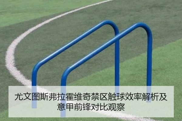 尤文图斯弗拉霍维奇禁区触球效率解析及意甲前锋对比观察