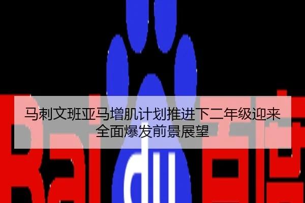 马刺文班亚马增肌计划推进下二年级迎来全面爆发前景展望